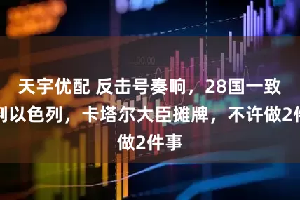 天宇优配 反击号奏响，28国一致批判以色列，卡塔尔大臣摊牌，不许做2件事