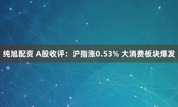 纯旭配资 A股收评：沪指涨0.53% 大消费板块爆发